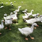 アパート Ferienwohnungen-jappe-landidyll